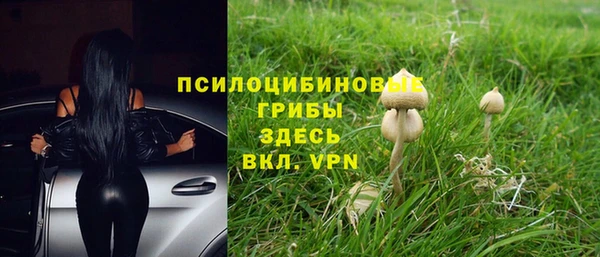 ГАЛЛЮЦИНОГЕННЫЕ ГРИБЫ Балабаново