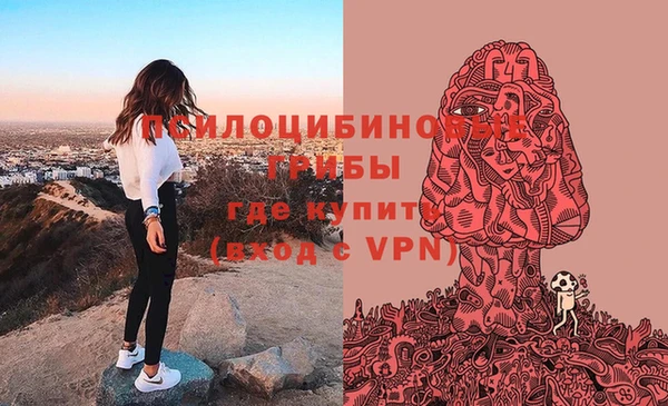 ГАЛЛЮЦИНОГЕННЫЕ ГРИБЫ Балабаново