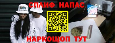 спайс Берёзовский