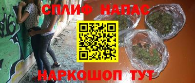 спайс Берёзовский