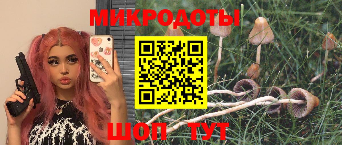 Псилоцибиновые грибы Magic Shrooms Видное