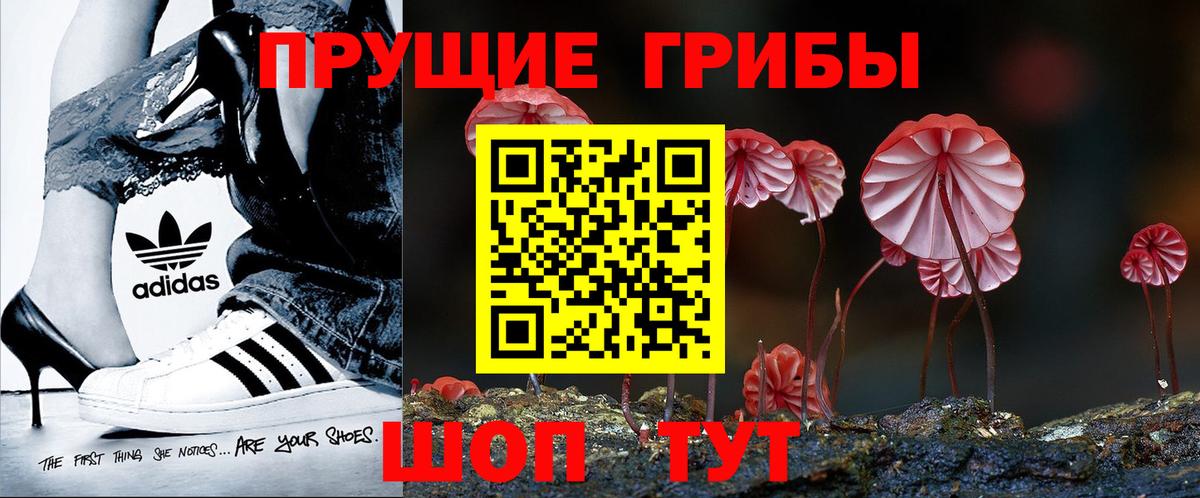 Галлюциногенные грибы Psilocybe Видное