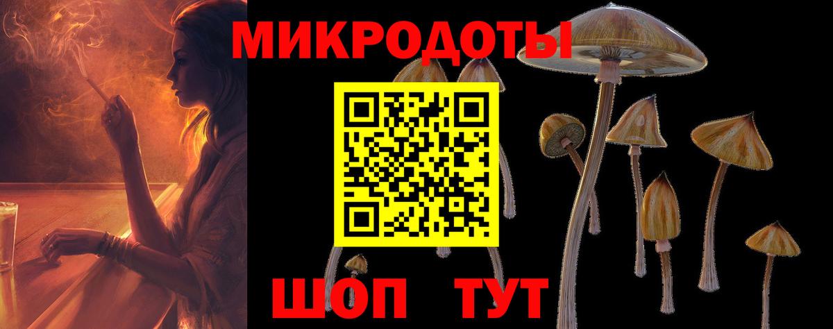 Видное  Галлюциногенные грибы прущие грибы  Вход с VPN 